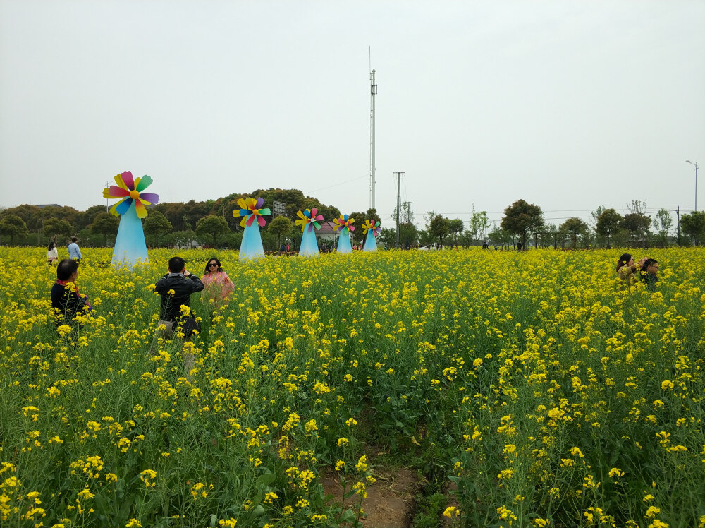 2018年4月7日上海奉贤海湾旅游区周圈骑行郊游随手拍