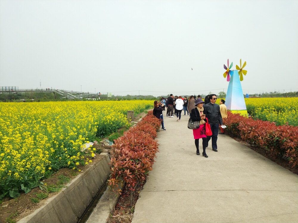 2018年4月7日上海奉贤海湾旅游区周圈骑行郊游随手拍