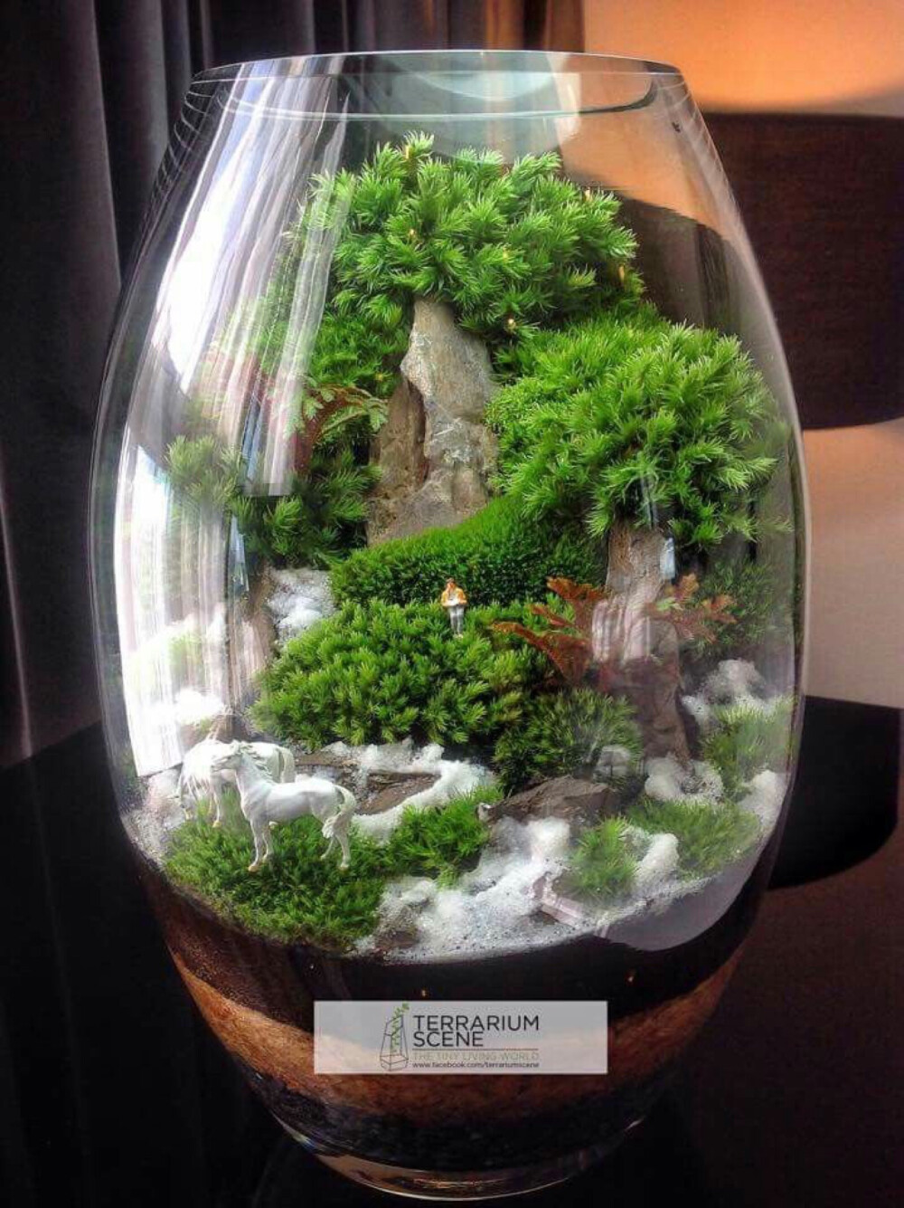 微景观