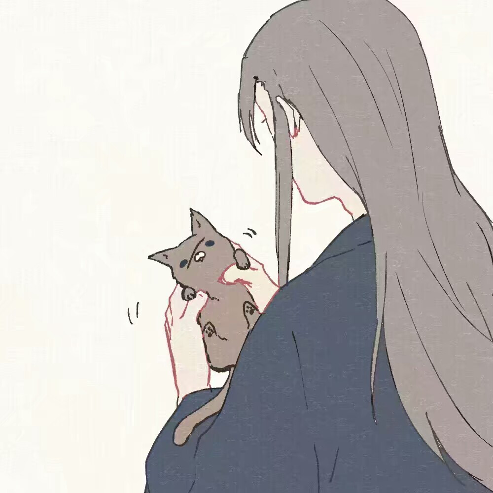 猫咪