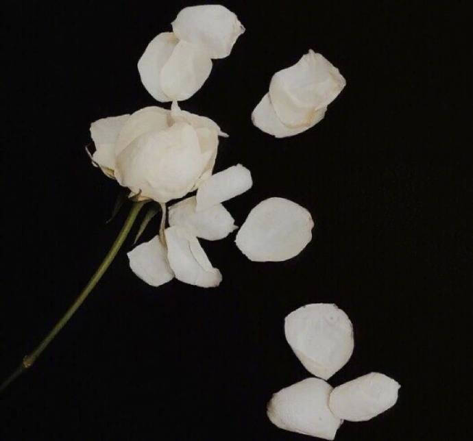 ❤️杂图集❤️