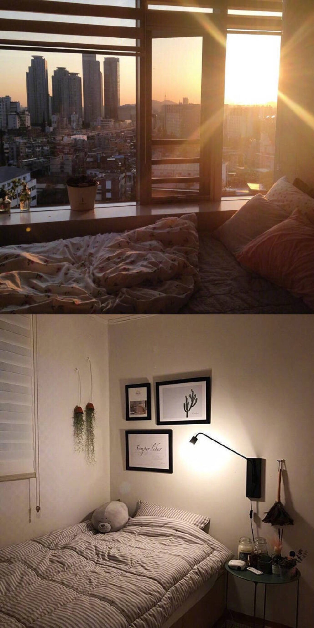 二人世界的小窝，虽然不大，但很温馨