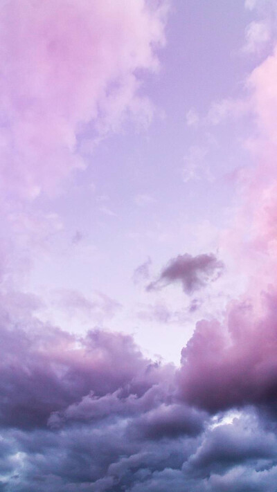 紫.云