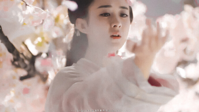 赵丽颖