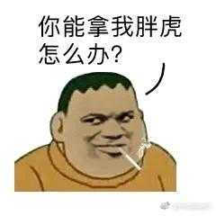 我胖虎飘了