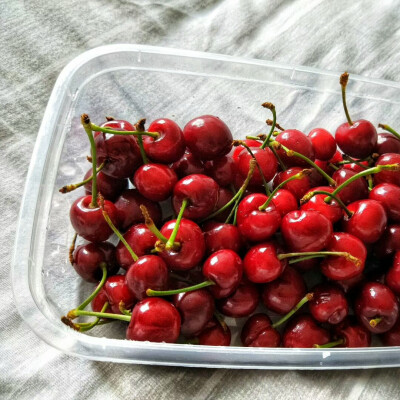 樱桃Cherry