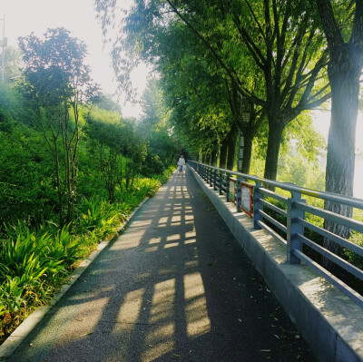 晨跑 辣鸡keep 跑步总是暂停 就没测步什么的 就和前几天路程一样 应该速度不同 五十个卷腹 好累 但是体重终于回到54.6哈哈 恩要控制饭量了 图二辣鸡楼梯 太高不想爬 但是最终还是爬上来了 恩加油 林月半子