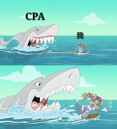 学习 CPA与我