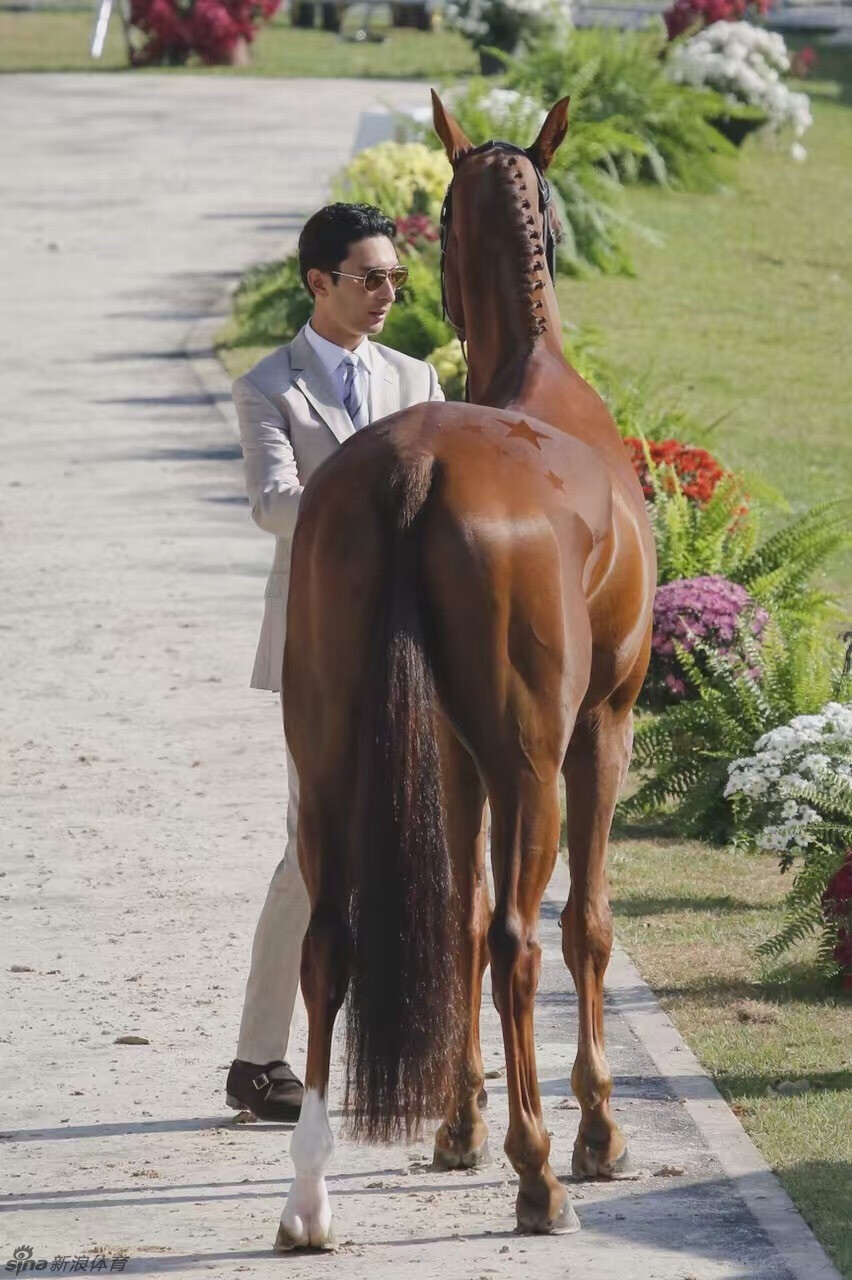 中国骑士华天与中国奥运马-“堂. 热内卢”