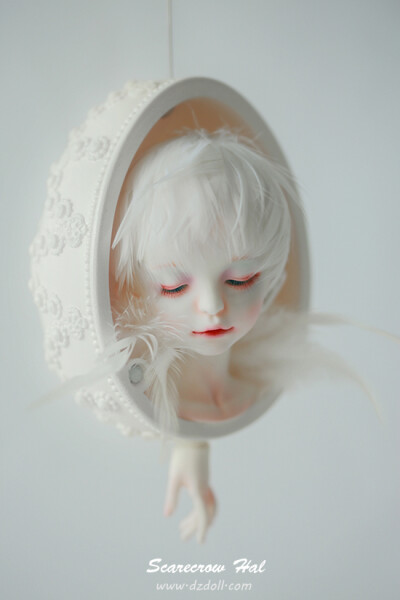 BJD 限量版