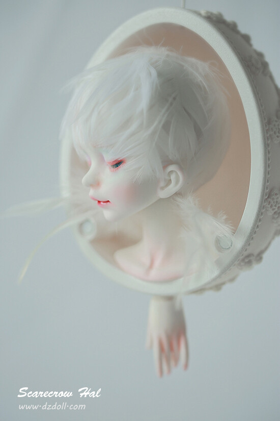 BJD 限量版