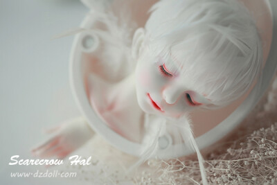 BJD 限量版