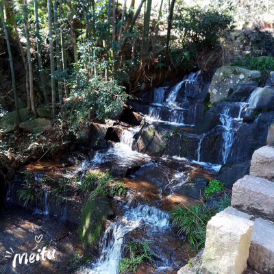 莫干山游玩