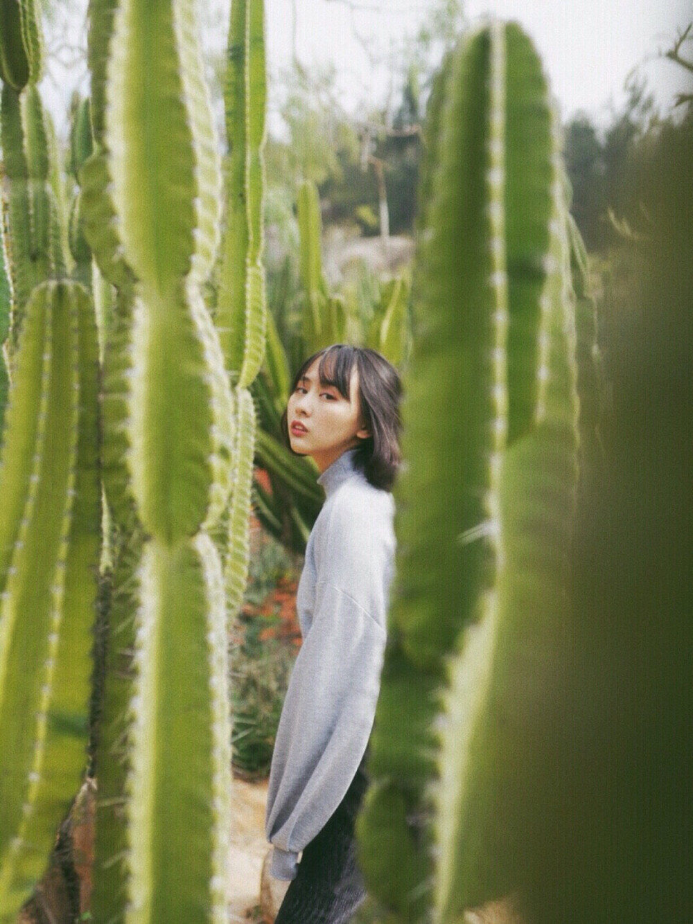 厦门 | 去厦门植物园看仙人掌啦
上次来厦门没来的植物园，这次来了。
超棒，完全不会令人失望～一大片沙生植物区，各式各样的仙人掌太可爱啦！我小时候最喜欢的植物就是仙人掌
请把这里记在你的厦门旅行小本本上好吗！
为了仙人掌，我还专门穿搭了精致的丝绸