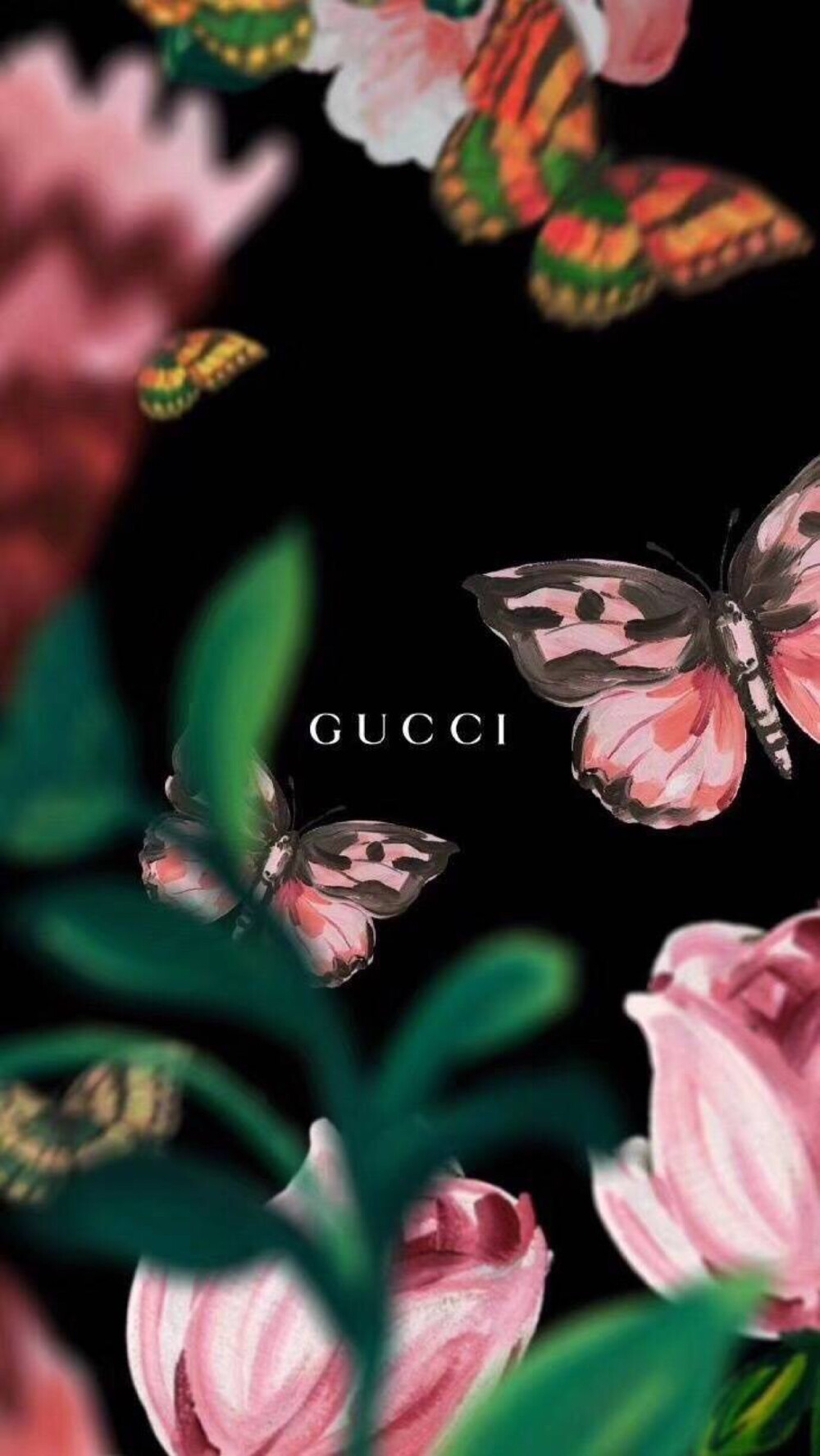 古奇 Gucci 手机壁纸 时尚 设计