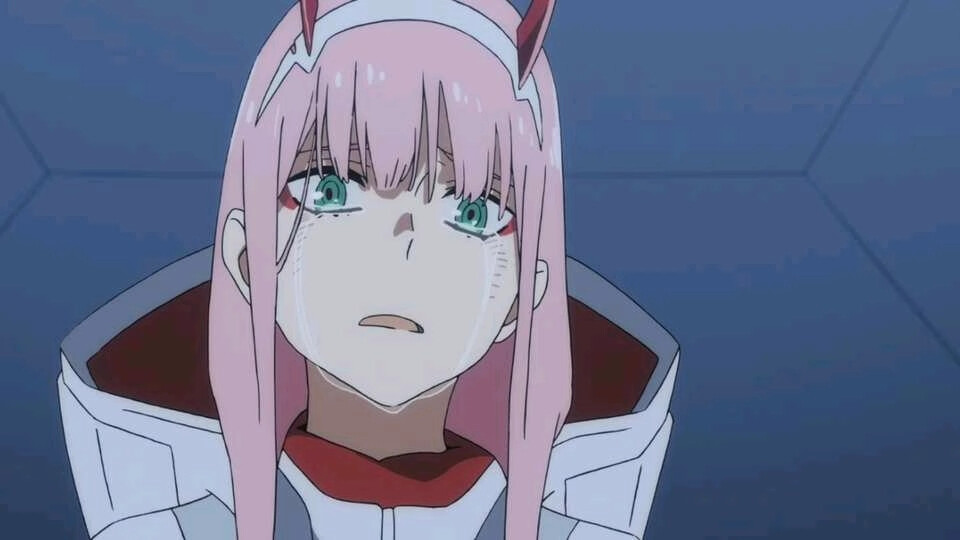 DitF