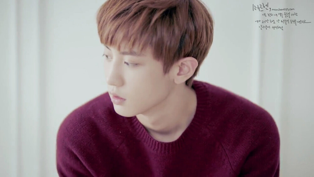 朴灿烈 exo 橙光背景