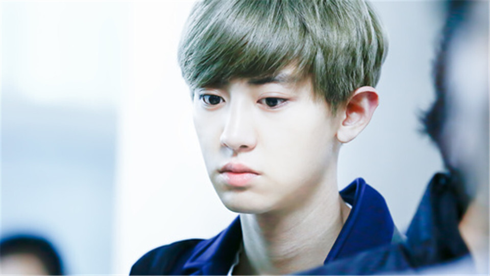 朴灿烈 exo 橙光背景