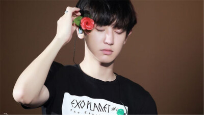 朴灿烈 exo 橙光背景