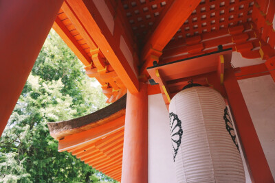 春日神社⛩️