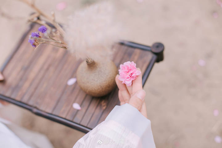 人间四月芳菲尽，山寺桃花始盛开。
长恨春归无觅处，不知转入此中来。
——[唐] 白居易
麻豆、妆造、后期：@zoy喵
摄影：@黑道空间
师傅：@知竹zZ
汉服：@她说汉家衣裳
发饰：@zoy喵 手作
