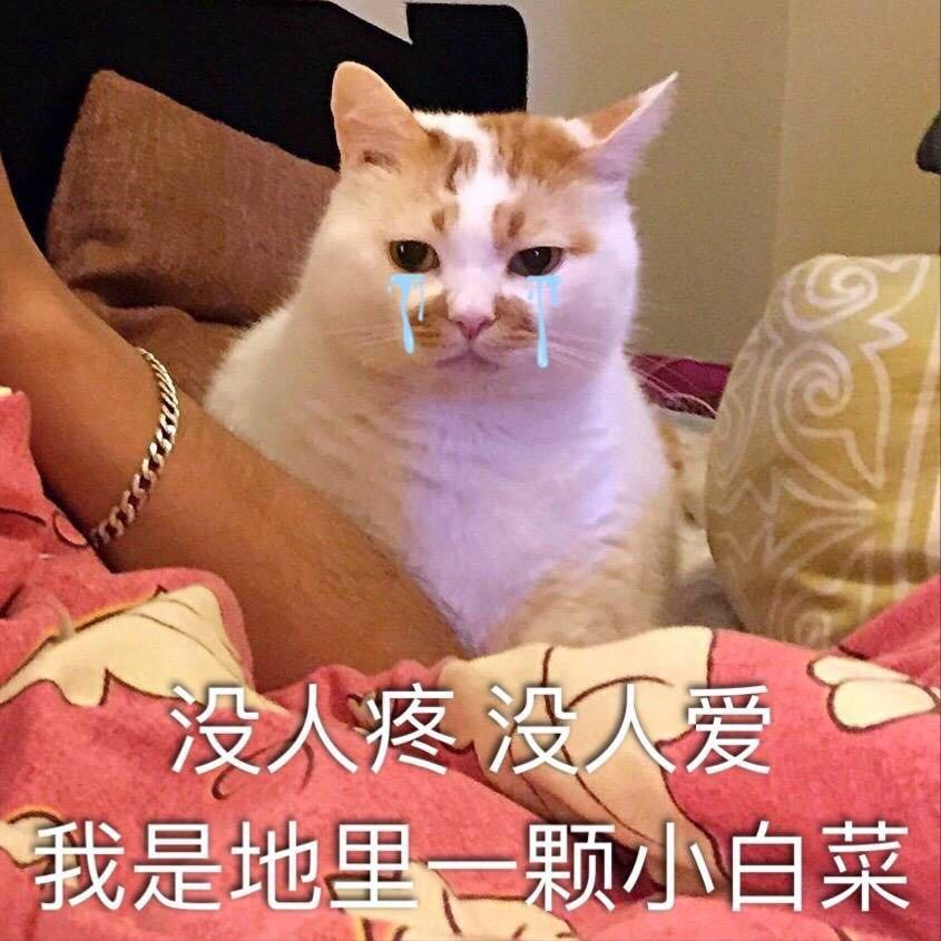 哭唧唧