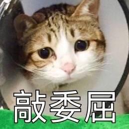 哭唧唧