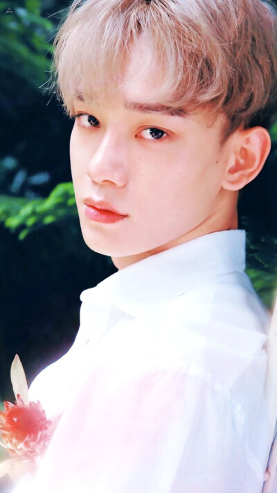 CHEN 