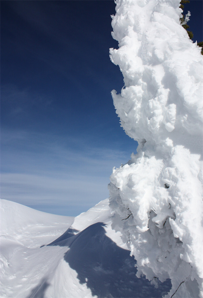 雪