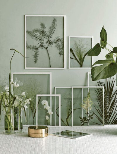 Framed Botanicals Found botanicals are pressed and framed for a beautiful display. A great way to preserve summer.wa: 