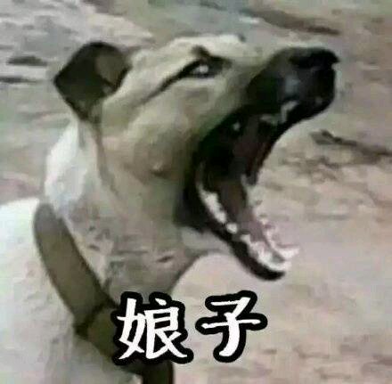 又双是搞笑情头
求关注√