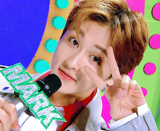 nct李马克