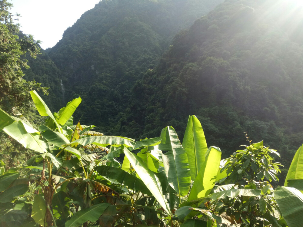 大自然的馈赠礼，我的美丽乡村田园生活。