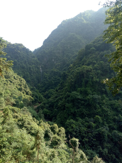 大自然的馈赠礼，我的美丽乡村田园生活。