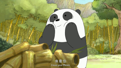 panpan
胖达
