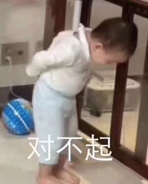 表情包 对不起