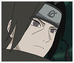 鼬❥(ゝω・✿ฺ)