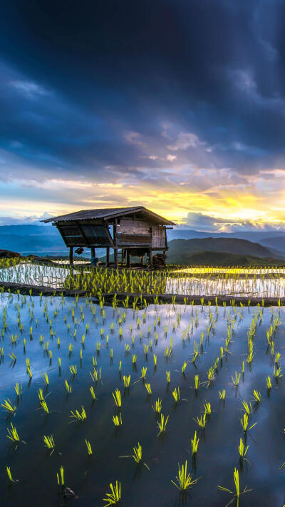 壁紙 風(fēng)景 泰國 清邁