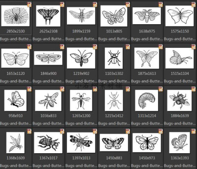 复古黑白昆虫蝴蝶树牛蜻蜓螳螂蚂蚁蜘蛛线稿图AI PNG素材png318