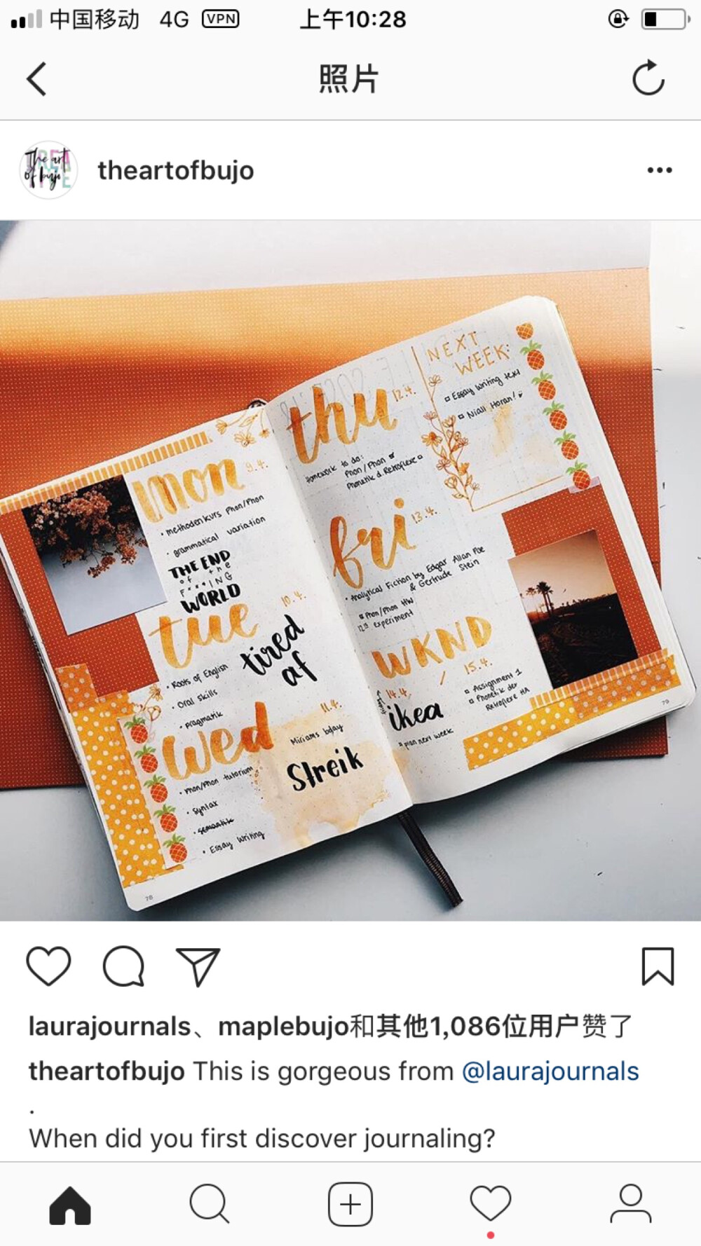 Bujo