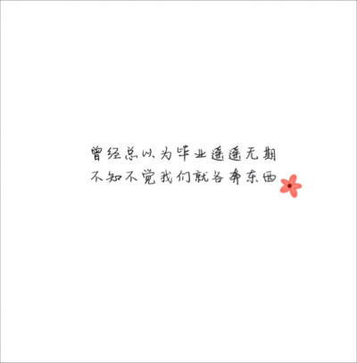 毕业壁纸