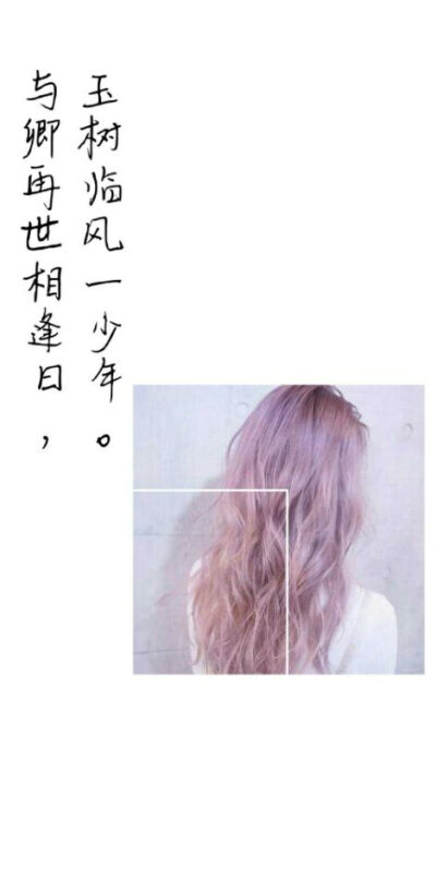 壁纸酱~