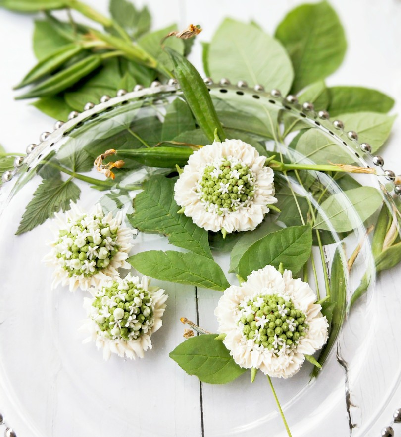 自然系裱花之车轮菊