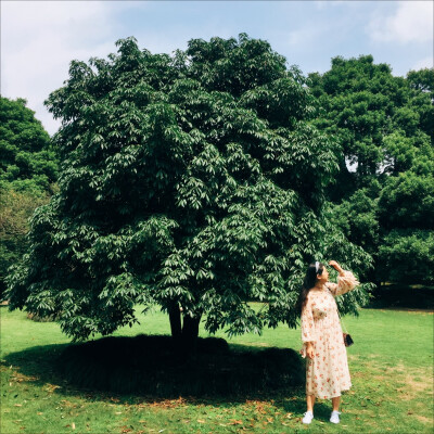 #杭州植物园# 嘻嘻