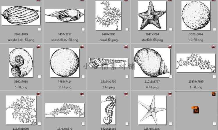 北欧夏天黑白线稿海洋生物珊瑚海星海螺矢量插画设计素材ai330