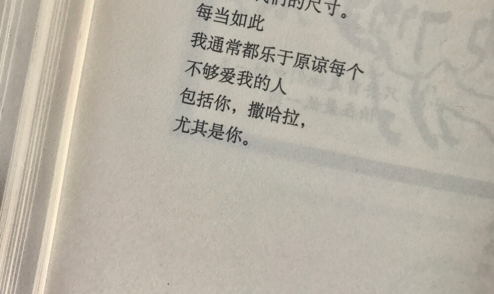 乐于原谅每个不够爱我的人