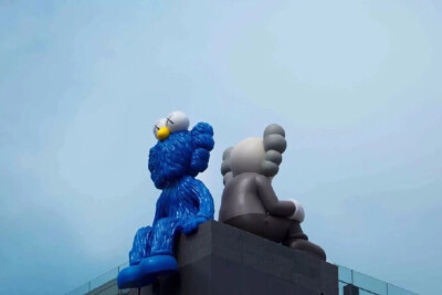 kaws