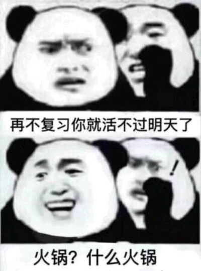 复习 表情包