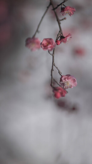 还
