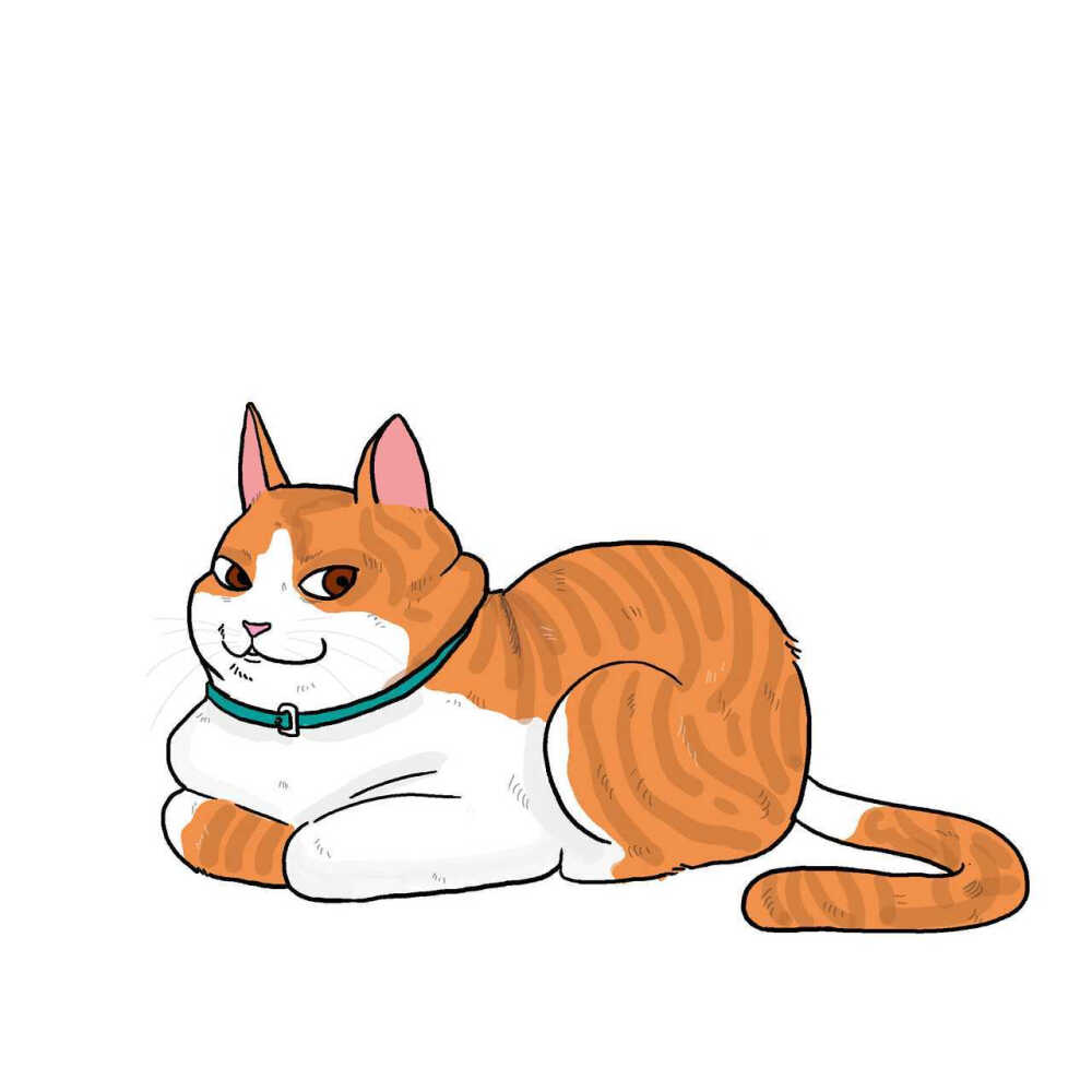 粉丝投稿李大圆儿joyce想养一堆大肥猫67